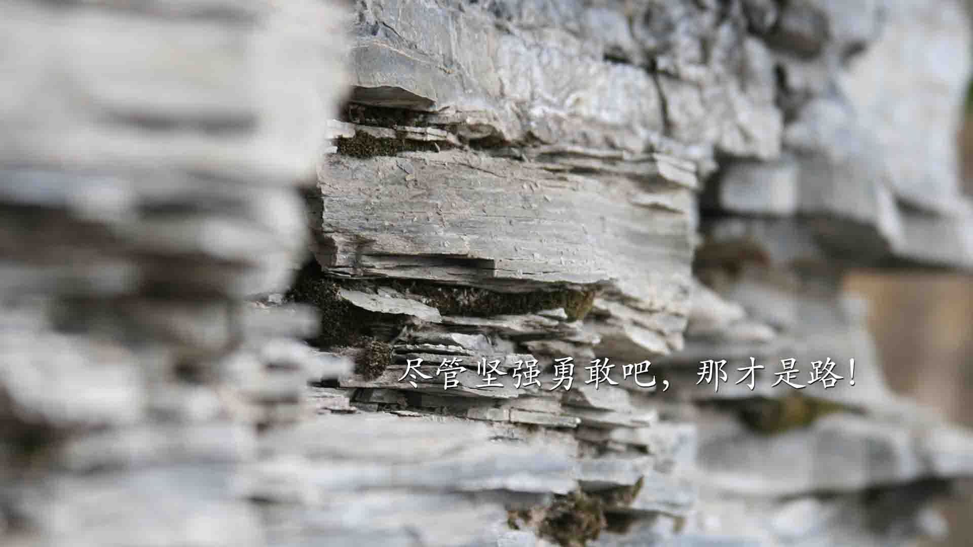 中国象棋协会发布象棋教练员培训计划，2020象棋教练员资格证怎么拿