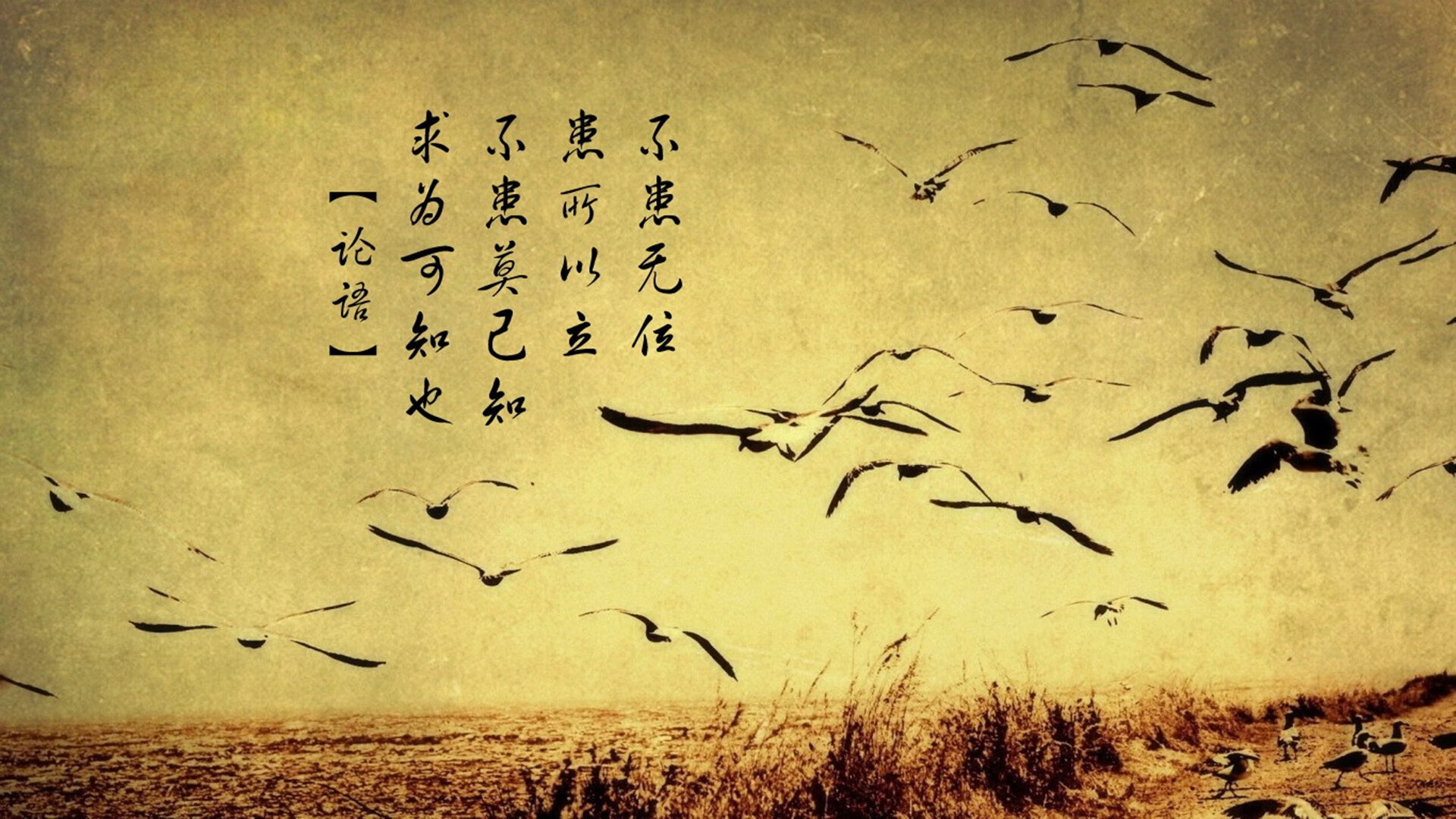 中国足球赛事数字化管理平台全面升级，中国足球联赛系统