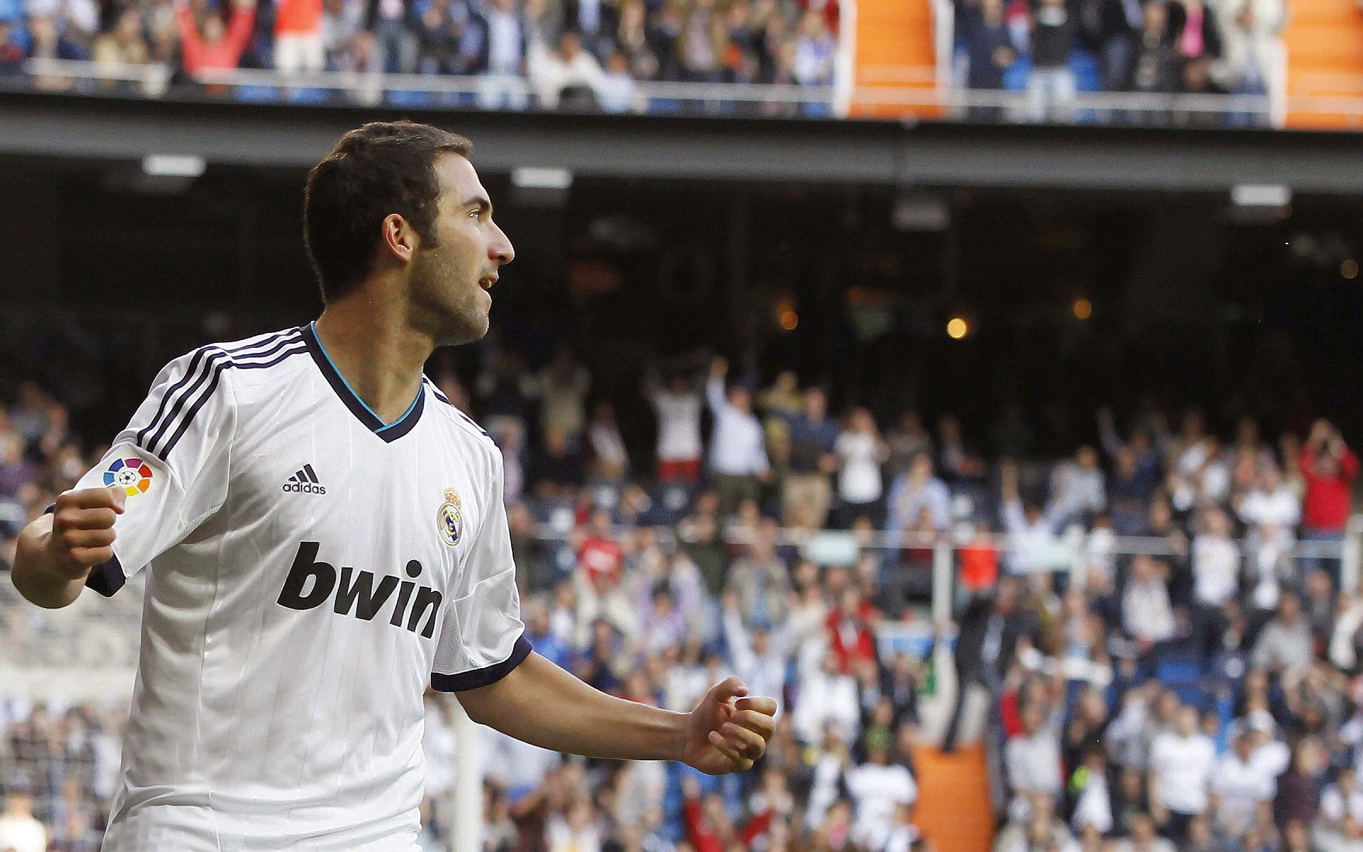 2026世界杯场馆采用新材料,强调环保与创新设计,2026年世界杯举办地确定