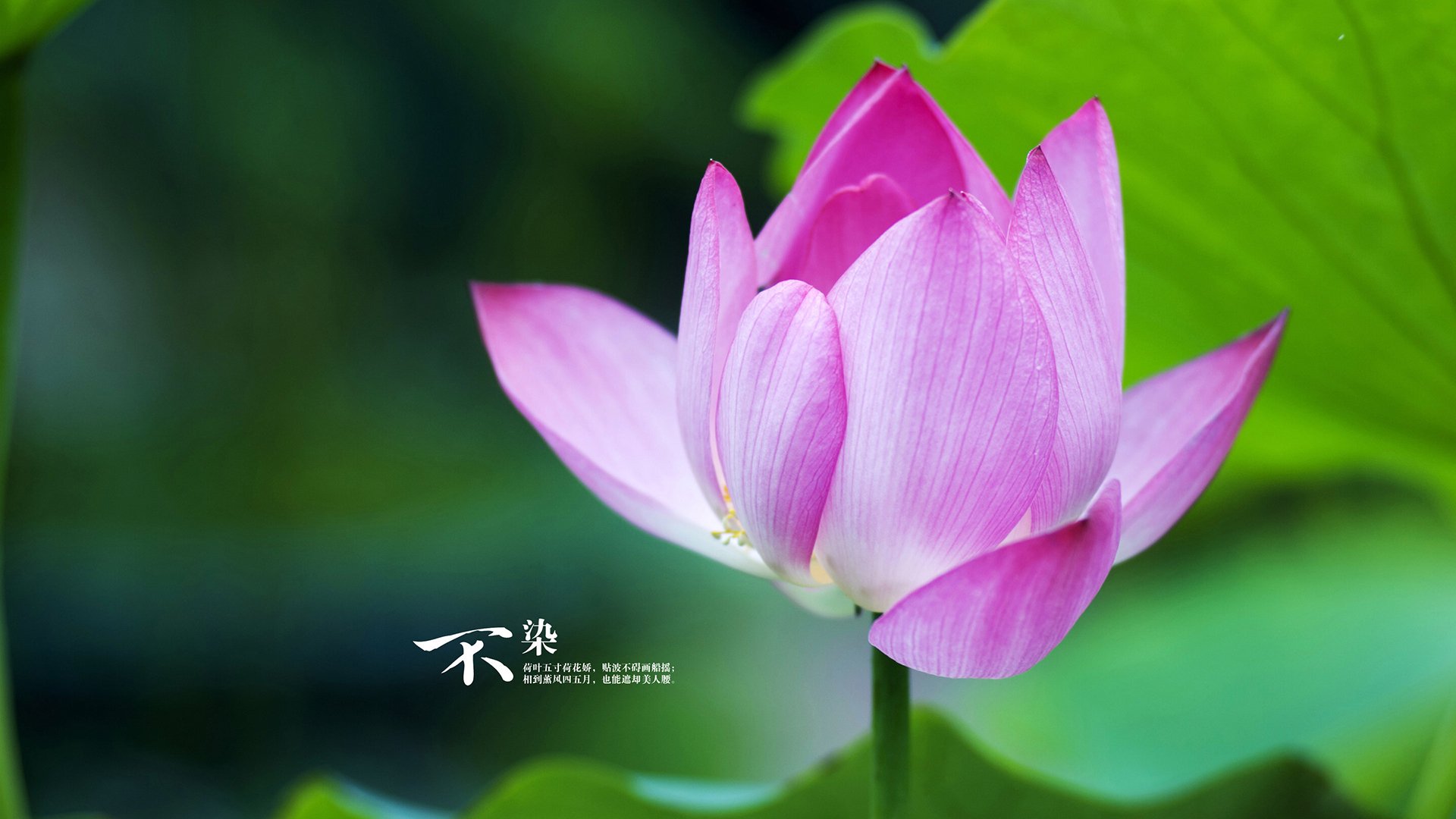 九游下载中心-“未来之星”青少年篮球明星试训营在重庆全面启动，挖掘潜力新人